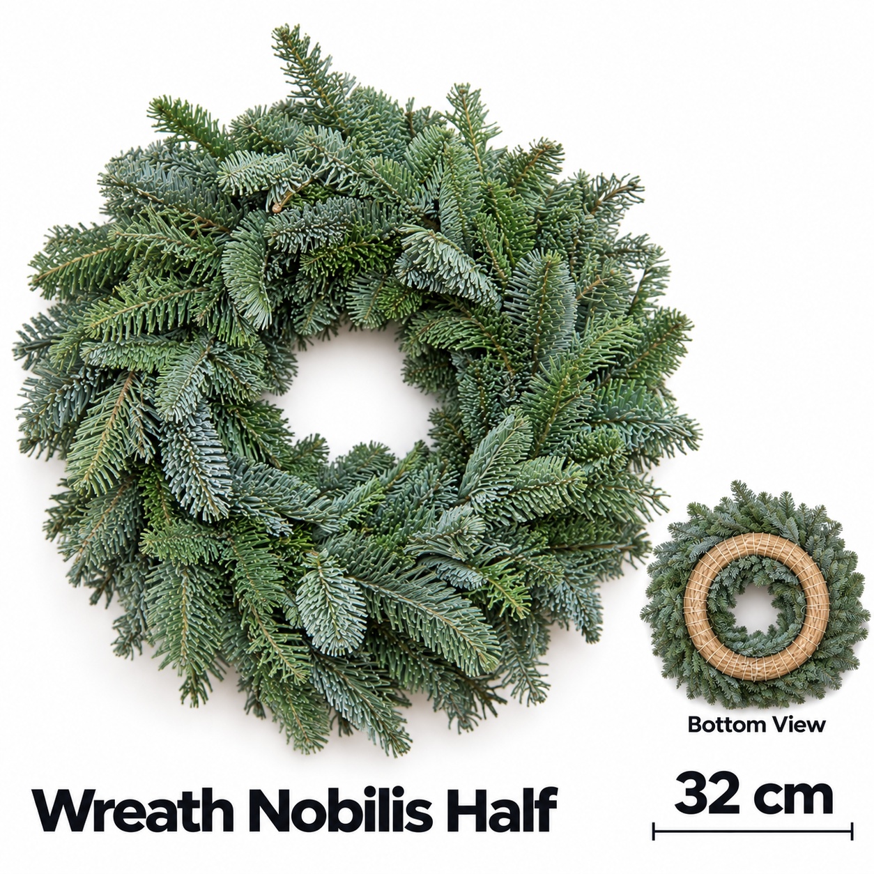 Abies Nobilis Blauw 32L.cm