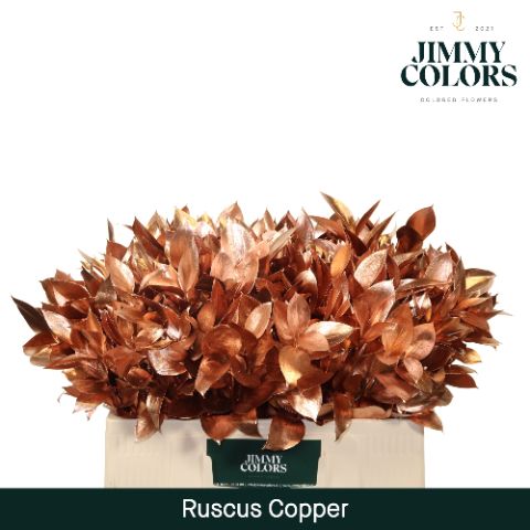 Ruscus L50 Mtlc. Copper