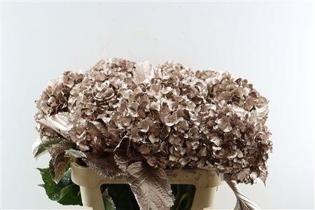 Hydrangea Painted 80cm 22Ø