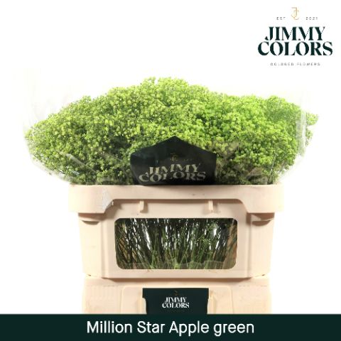 Gyps Million Star L70 Apple Green