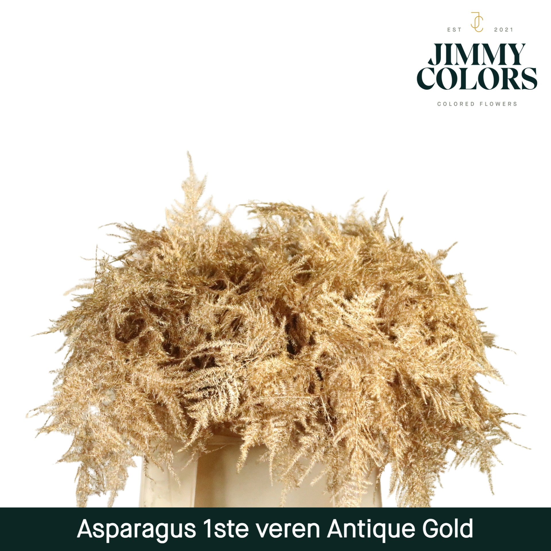 Aspa 1ste Veren Antique Gold