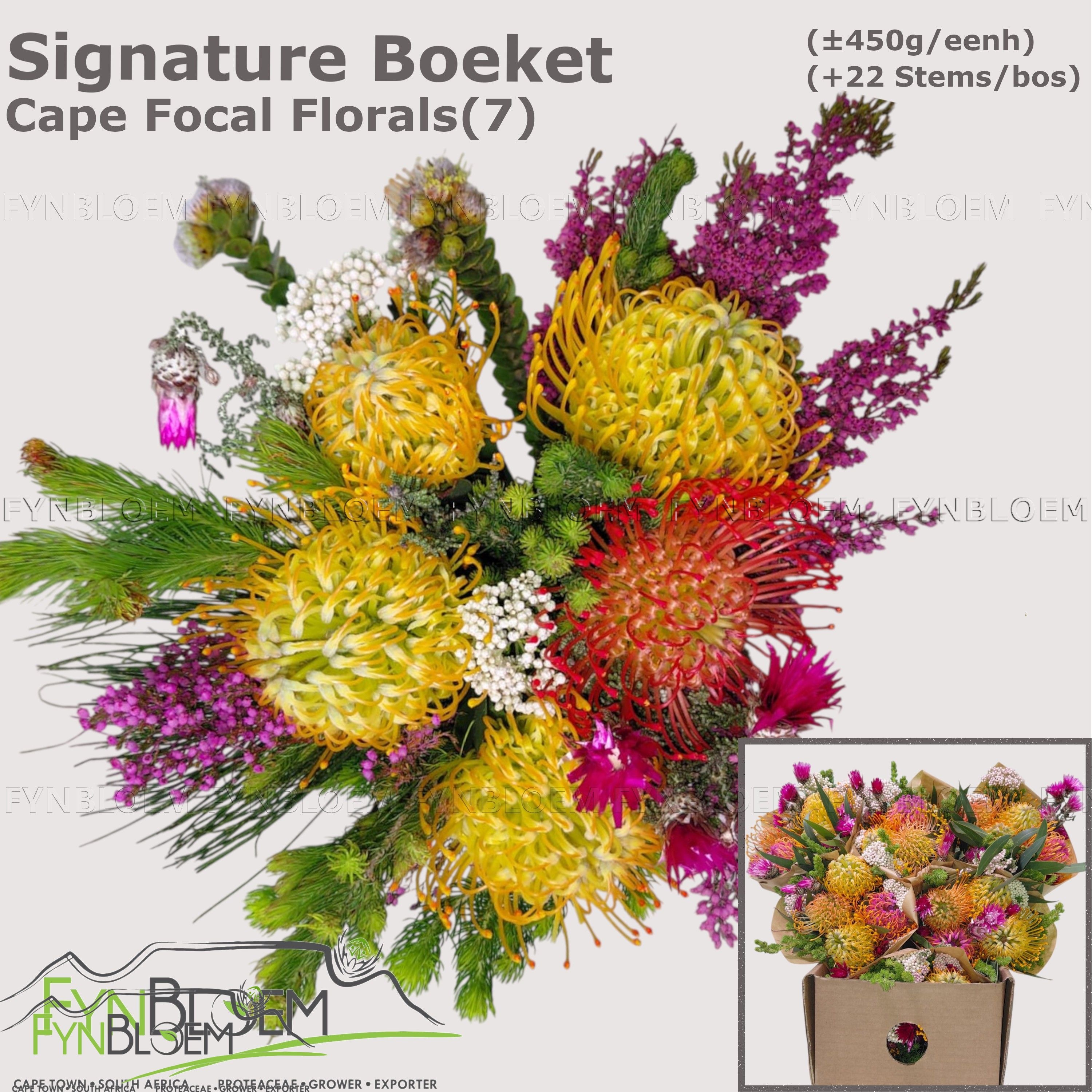 Protea Bouquet Per Bunch 40cm