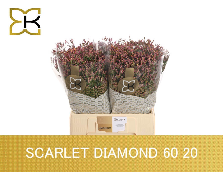 Lim Sin Scar Diamond