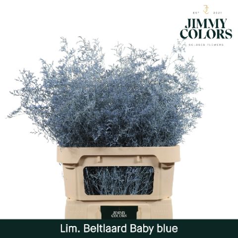 Lim Bel L90 Light Blue