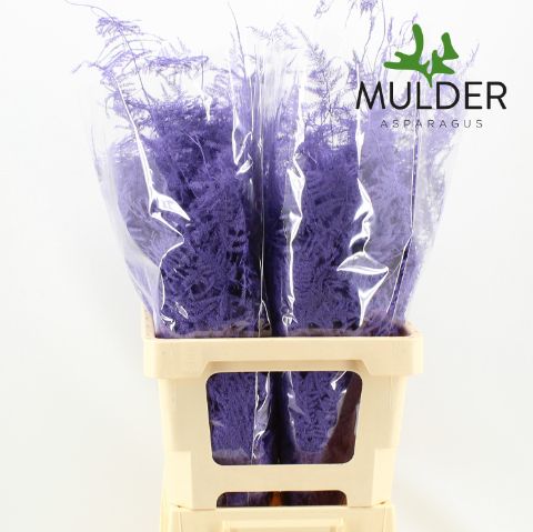 Asp S Klb H% Extra Veren Milka