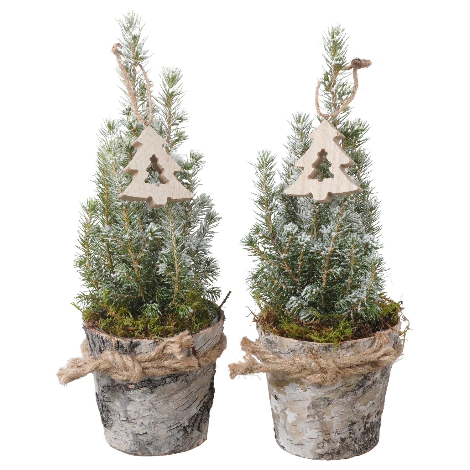 Picture of PTK24363 Picea Conica Perfecta with snow in wooden pot decoration P9 30CM