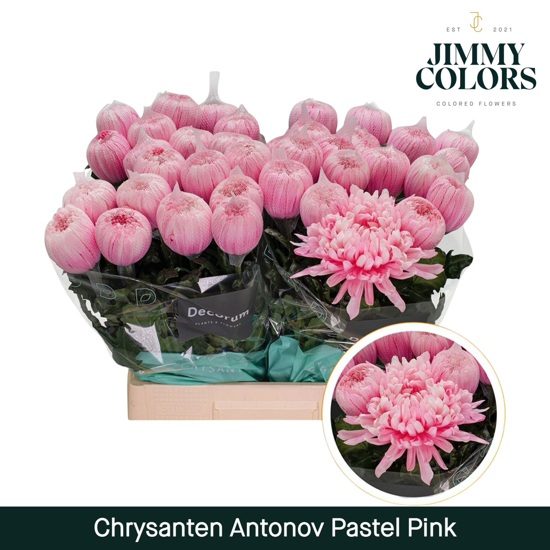 Chr G Antonov Pastel Pink