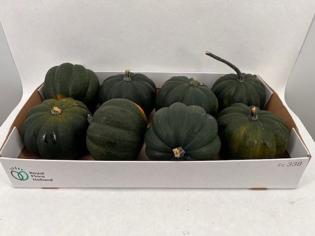 Ornamental Fruits Per Piece