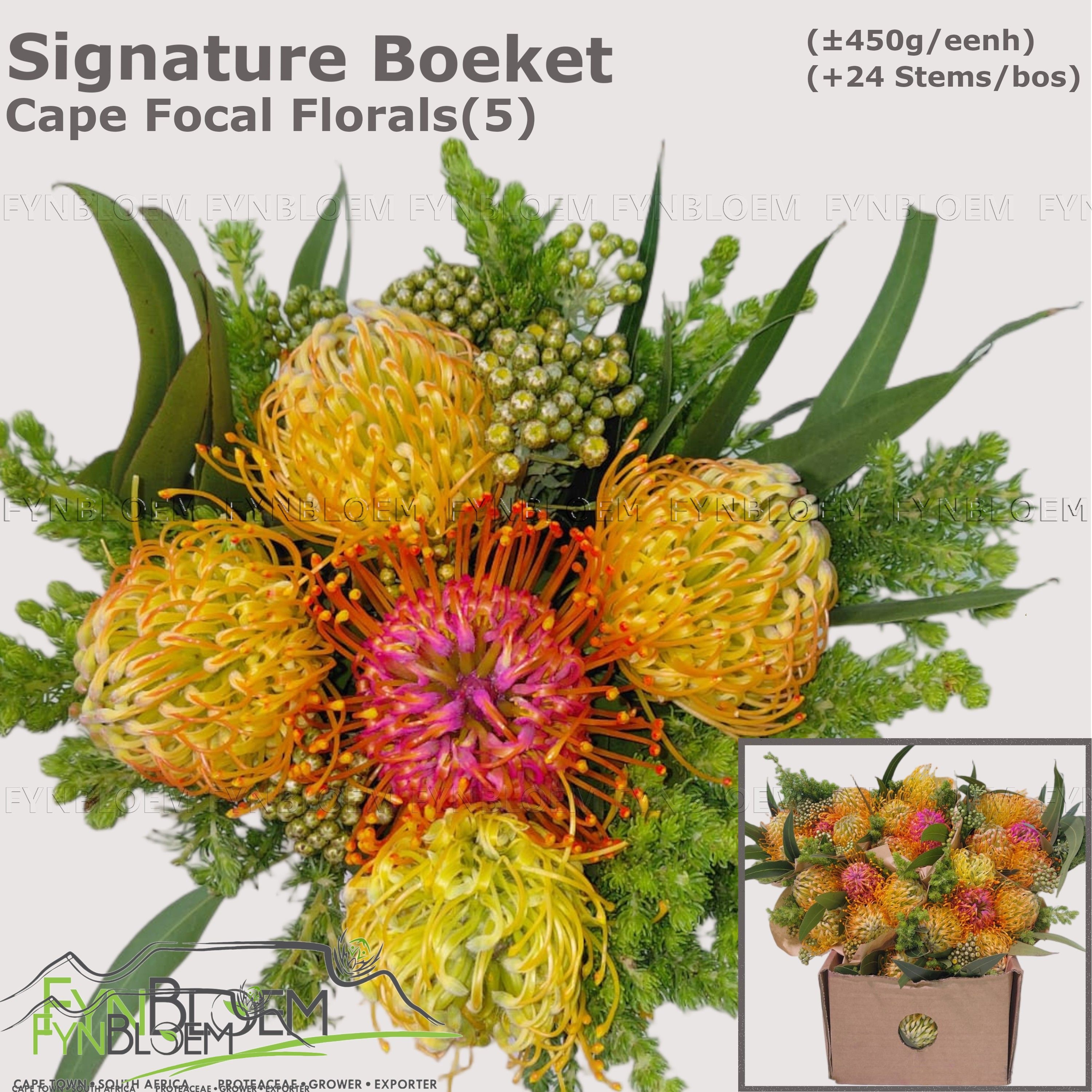 Protea Bouquet Per Bunch 30cm