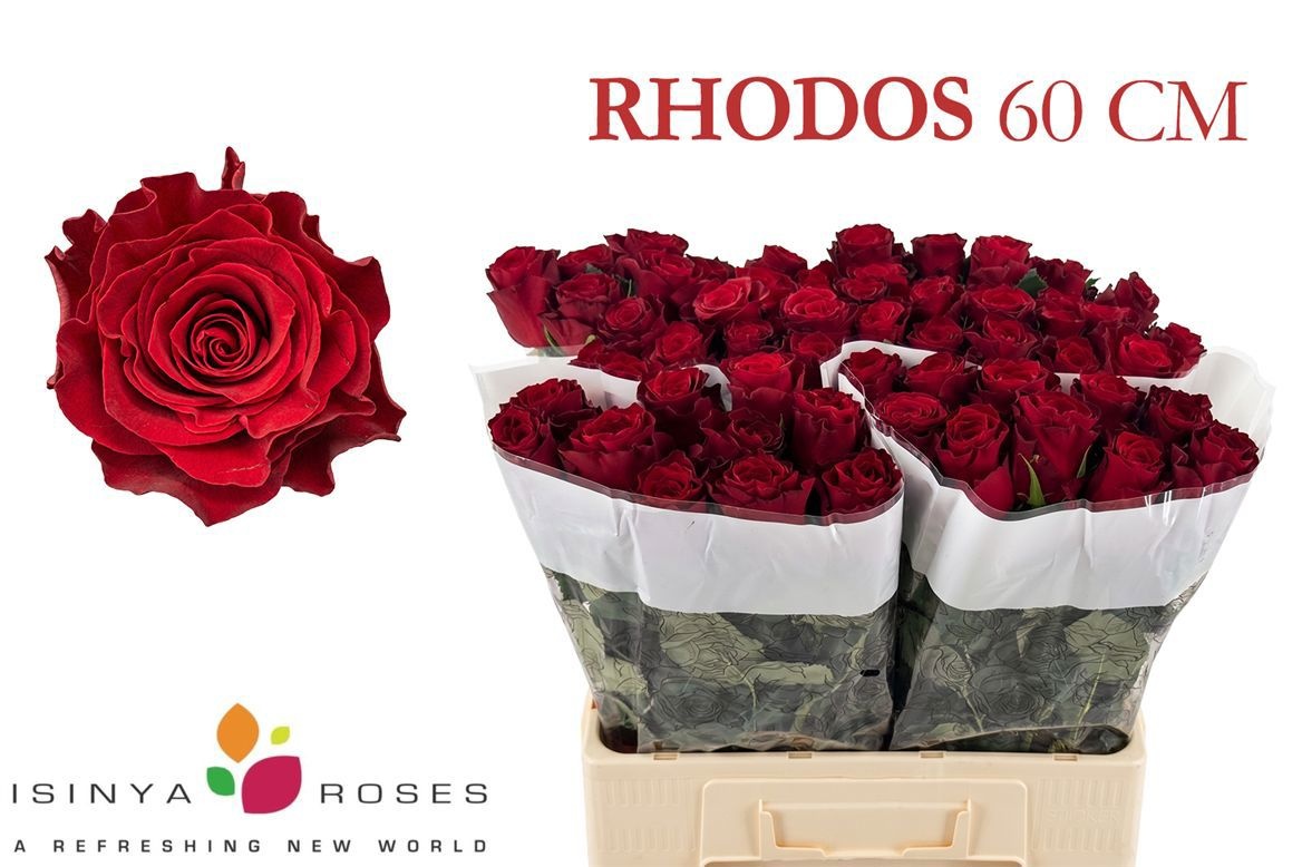 R Gr Rhodos