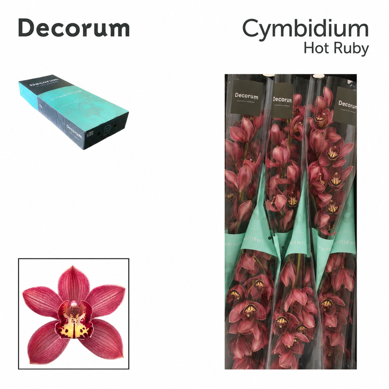 Cymb T Hot Ruby Decorum 80cm