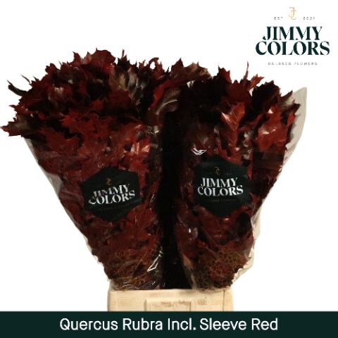 Quercus Rubra Sleeve L80 Red