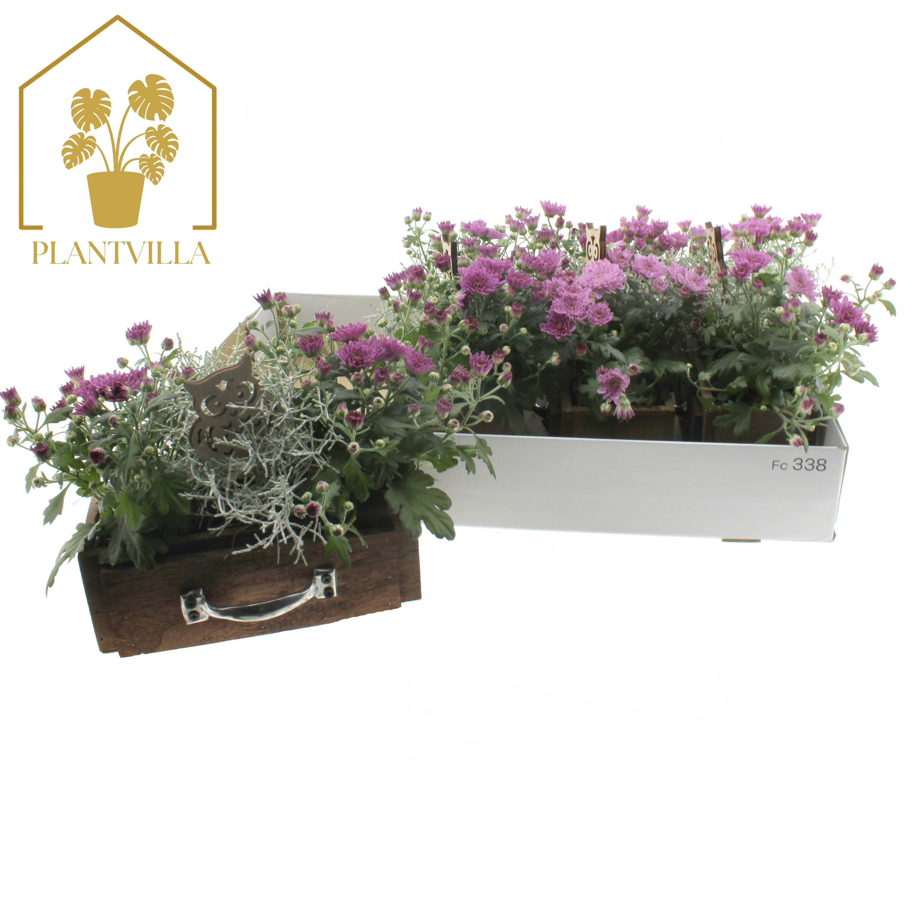 Arrangement Garden Plants 22Ø