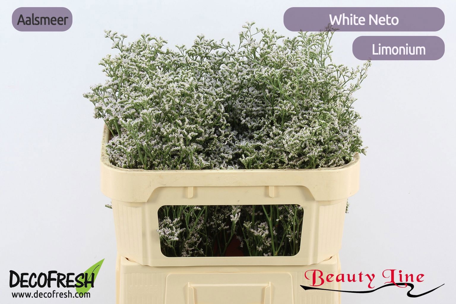 Lim White Neto