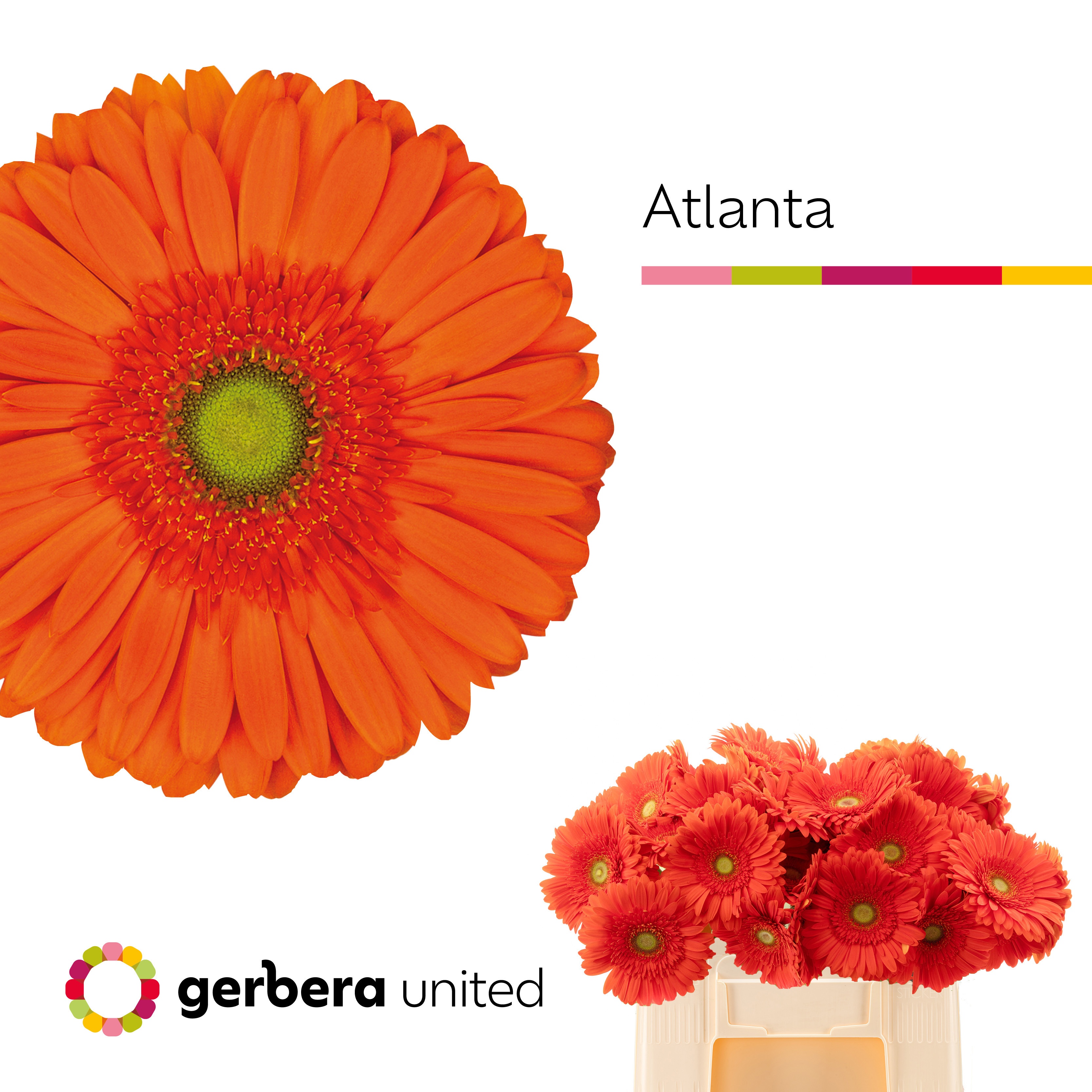 Ge Gr Atlanta