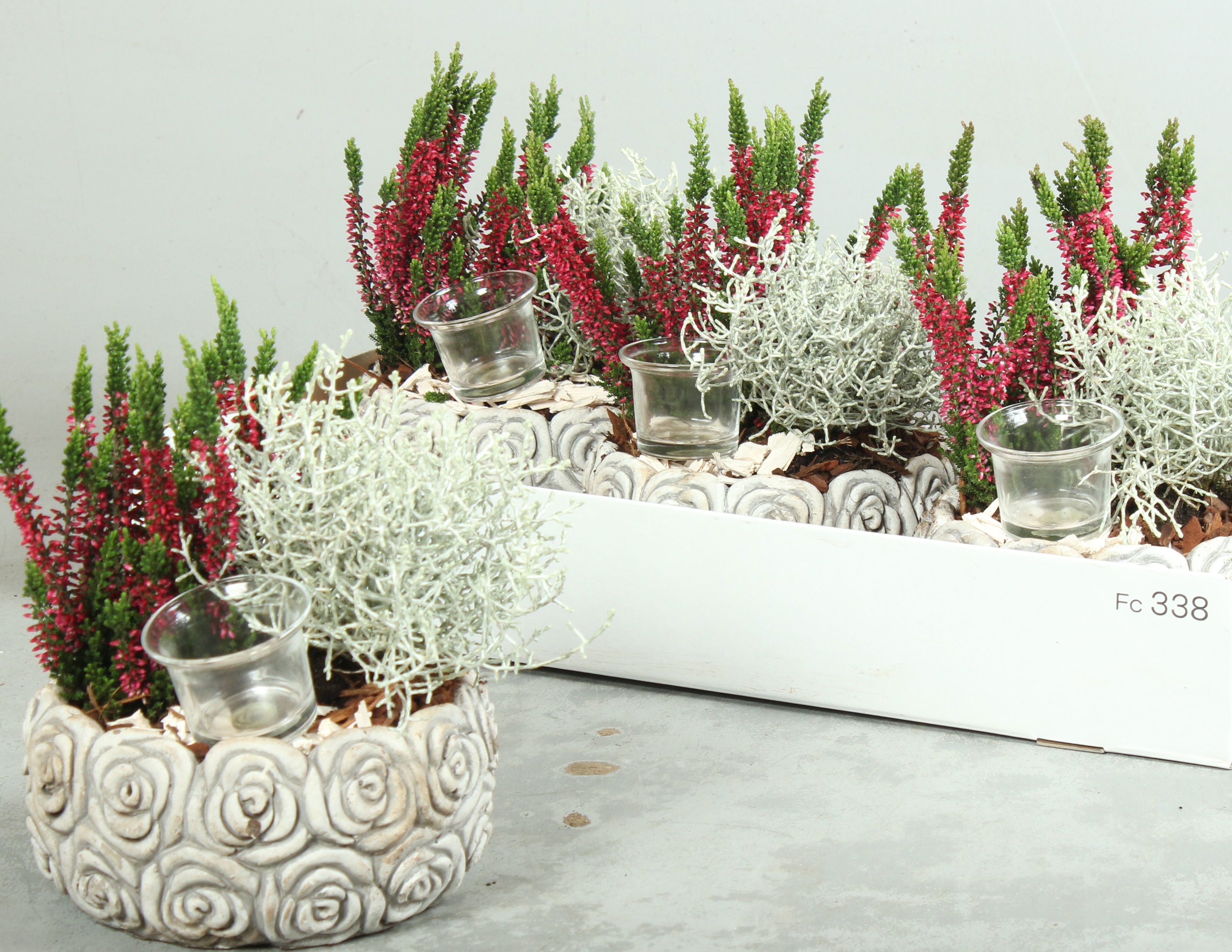 Arr Tuinplanten 18P 35cm
