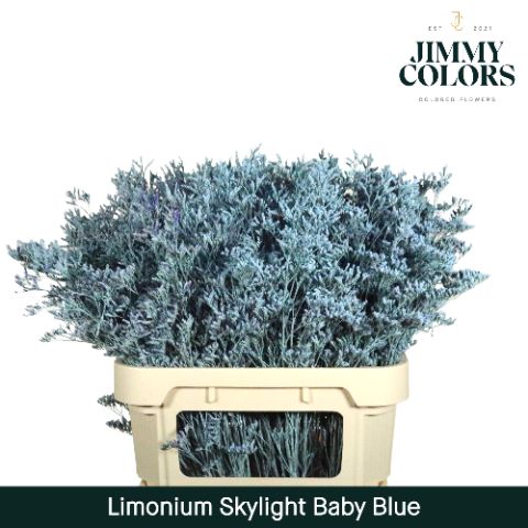 Lim Skylight L80 Light Blue
