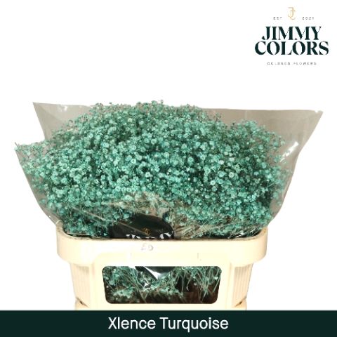 Gyps Xlence L70 Turquoise