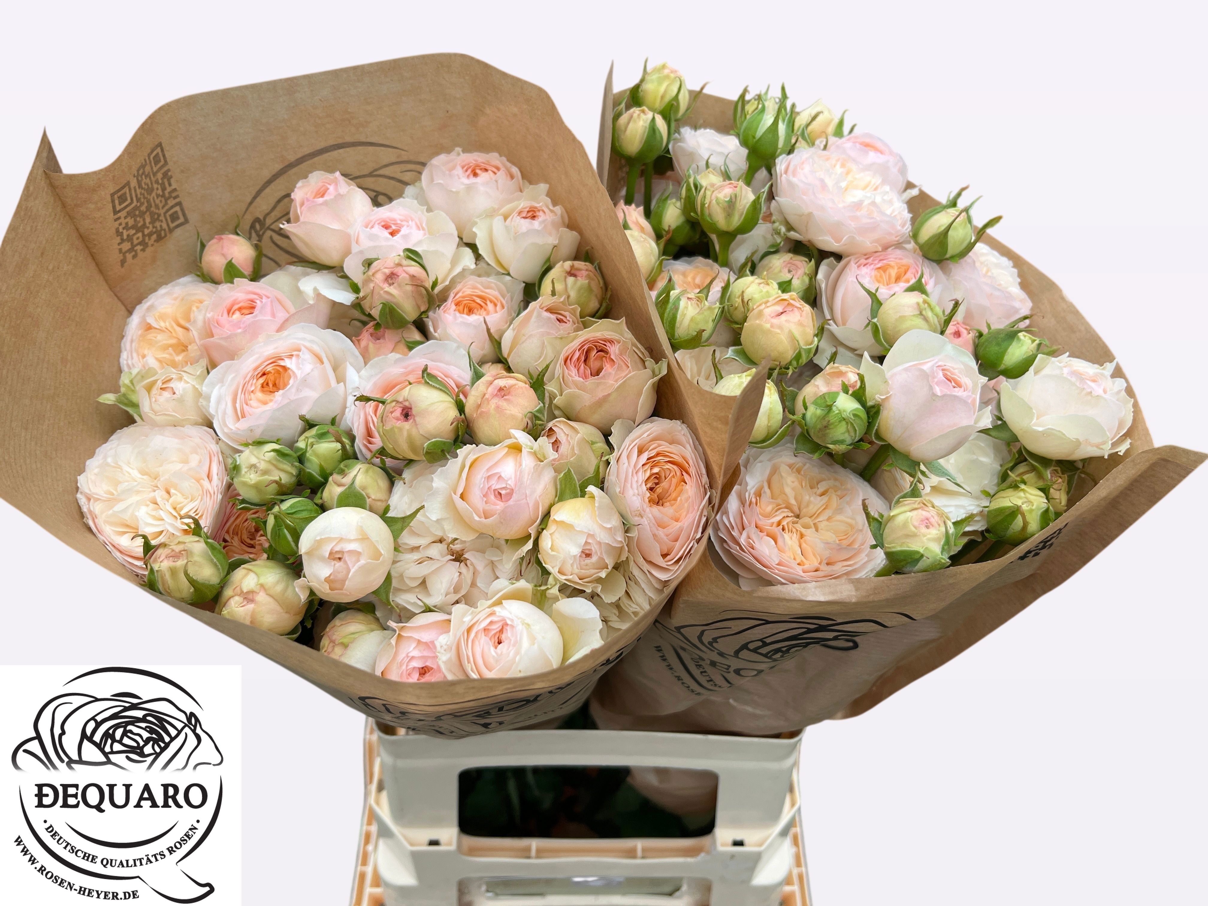 Rosa Spr Grandma's Finest Romy 60cm