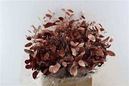 Euc Po Fru Klb Bs H% 65L.cm 300gram