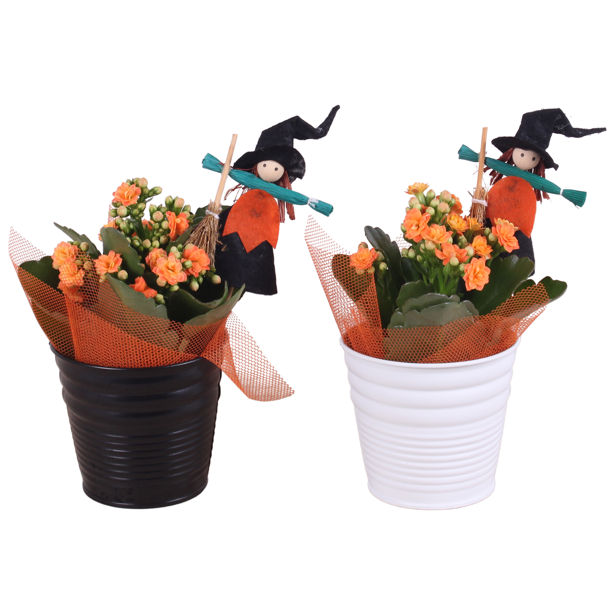 Picture of Halloween Arr. Indoor Zinc Pot Ø10cm 1PP P10 20CM