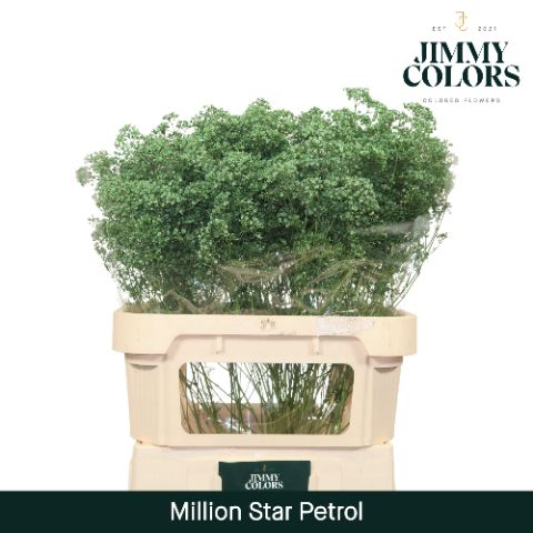 Gyps Million Star L80 Petrol