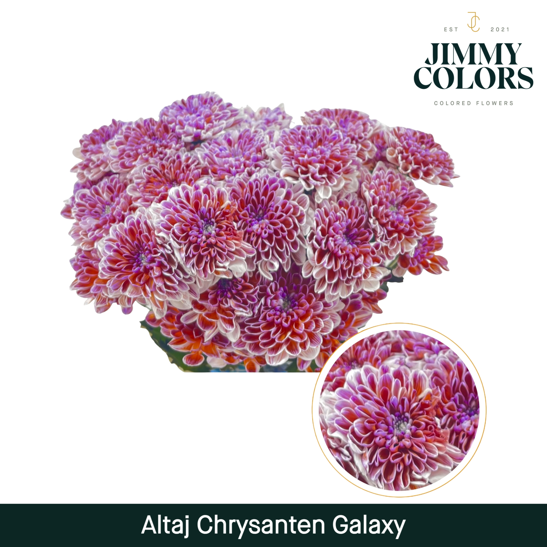 Chr T Altaj Galaxy