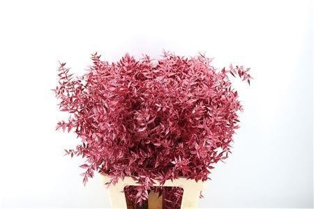 Dried/preserved Flowers Misc 60cm 18gram