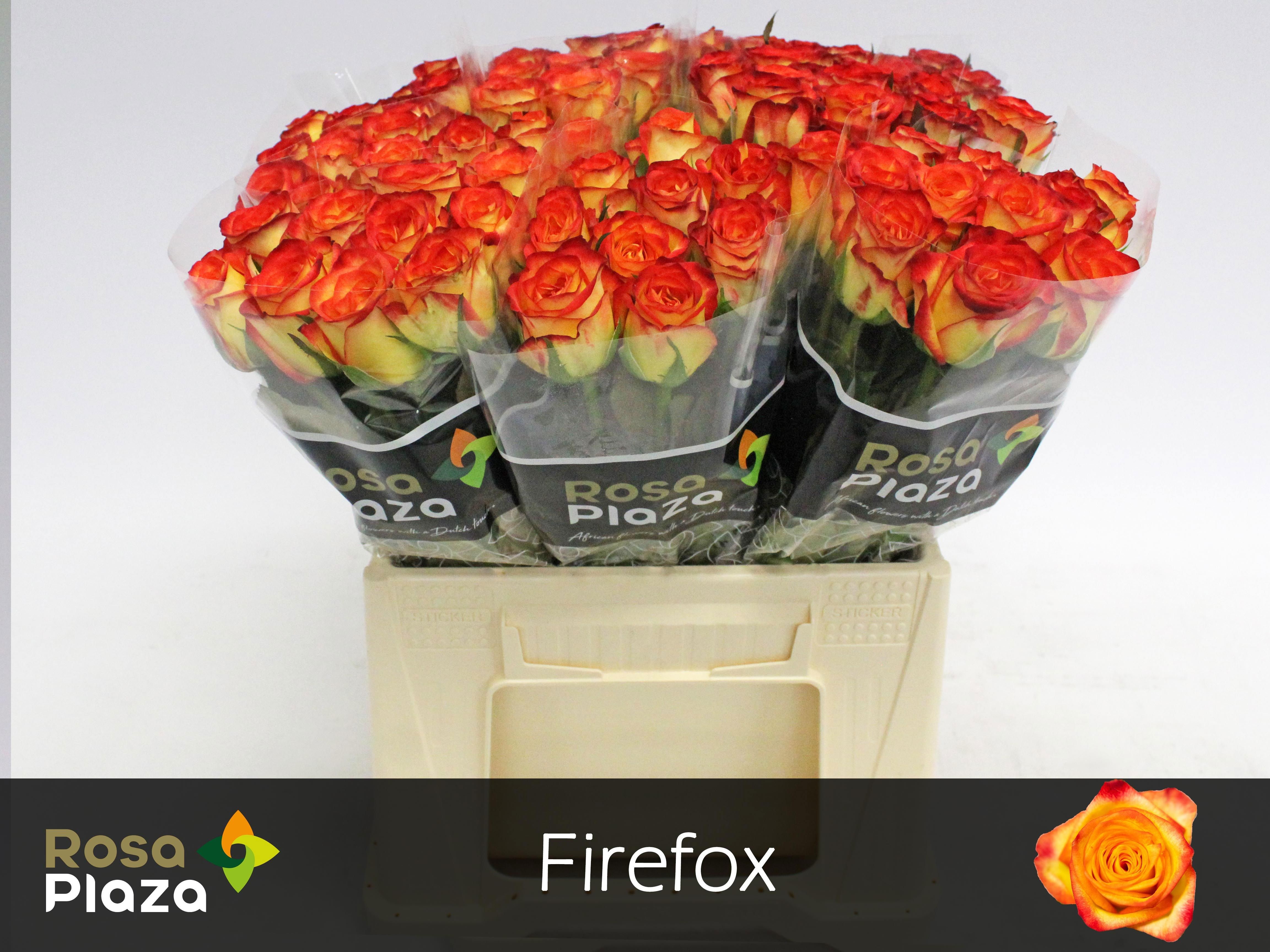 R Gr Firefox