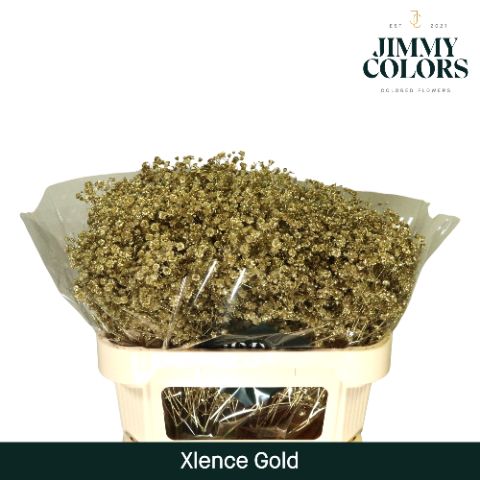 Gyps Xlence L70 Mtlc. Gold