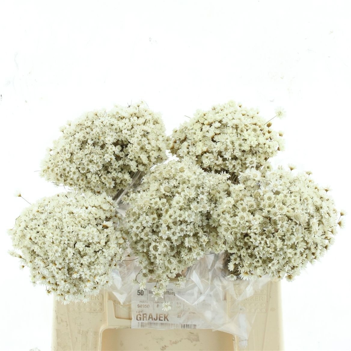 Dried Miscellaneous 50cm 50gram