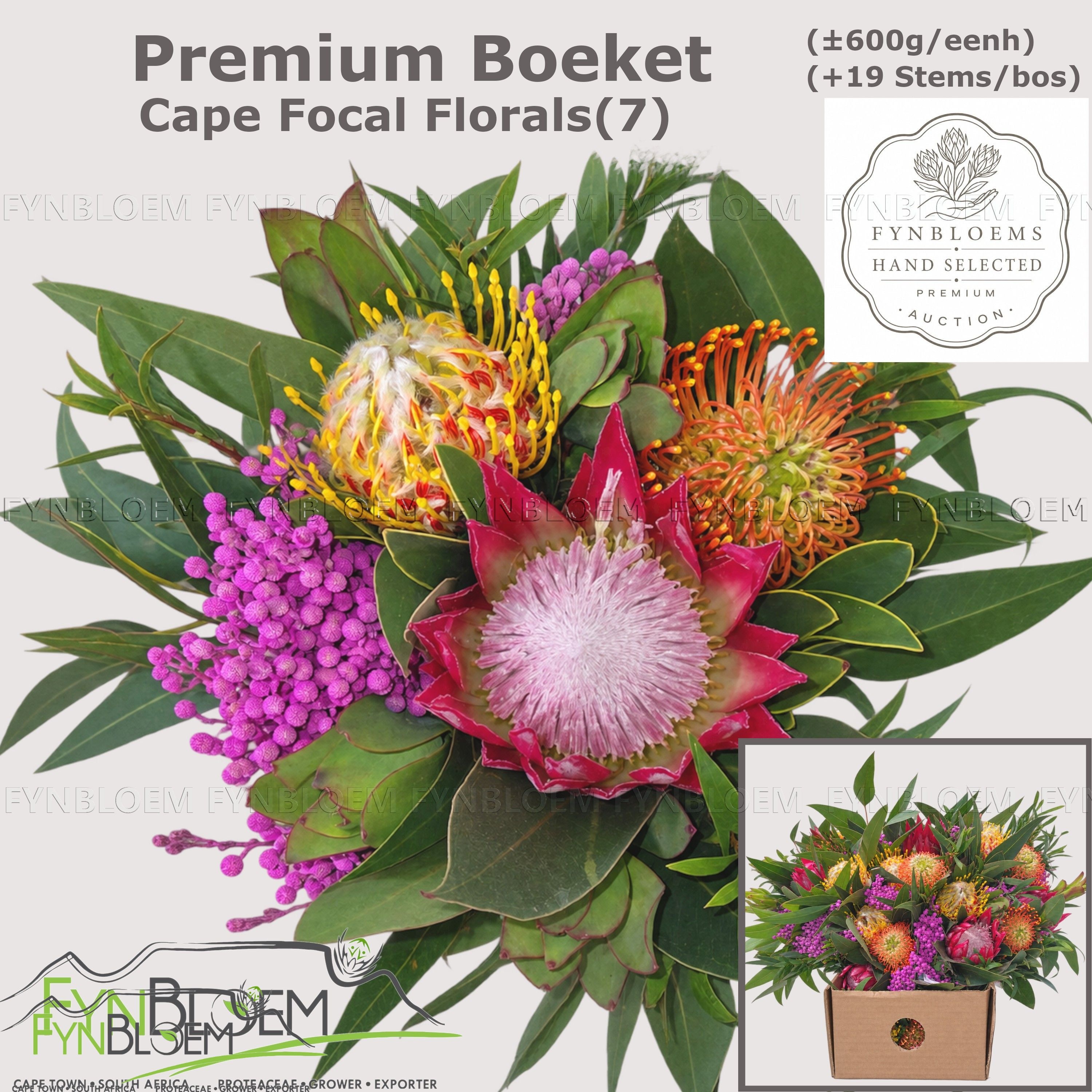 Protea Per Bos