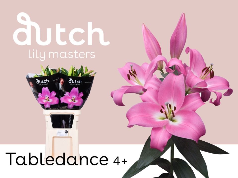 Li Ot Tabledance
