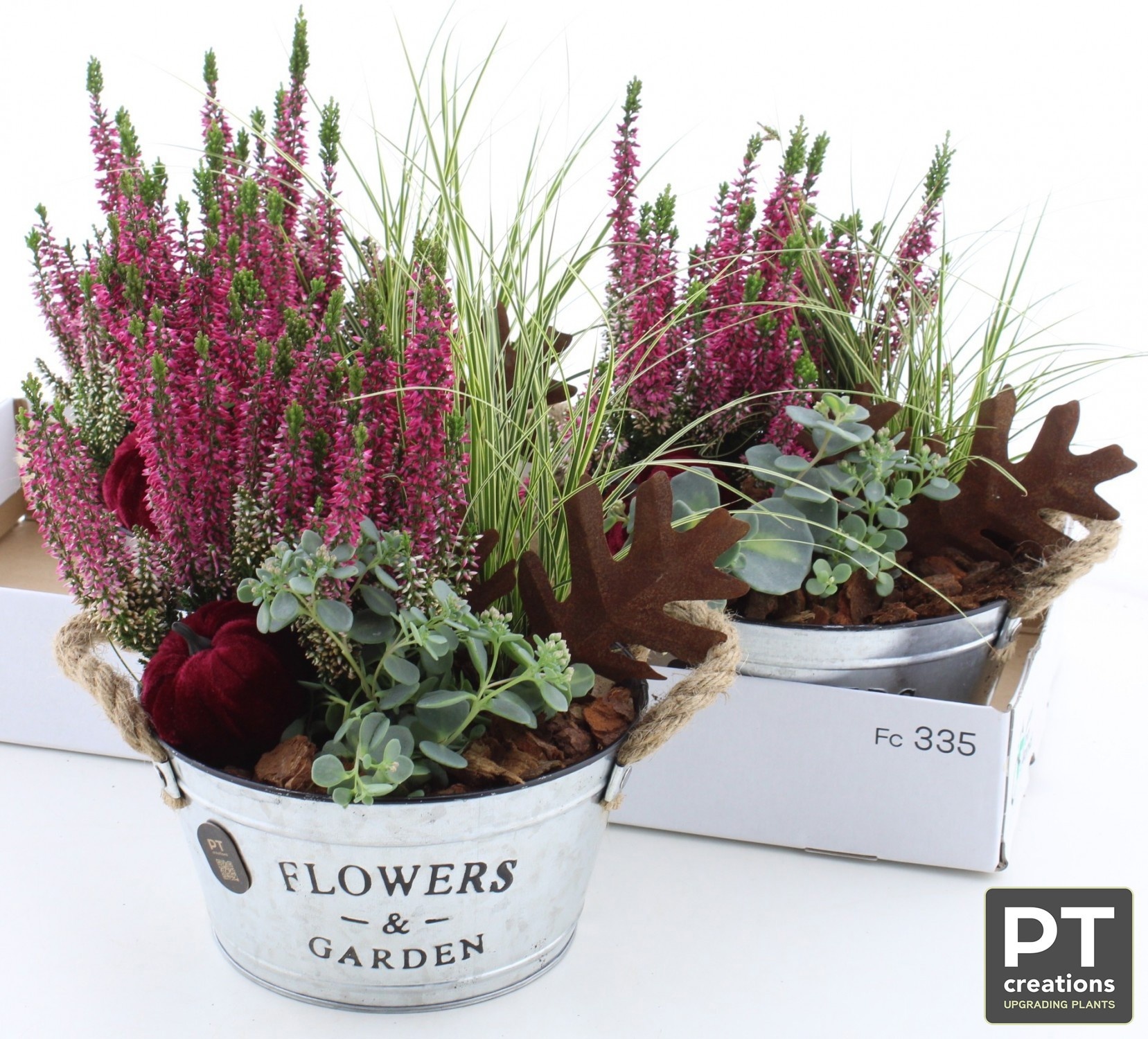 Arr Tuinplanten 18P 35cm 22bloei