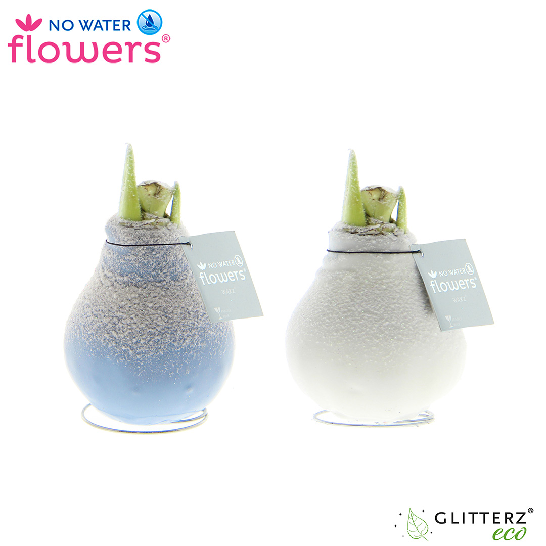 Picture of No Water Flowers® Frozen mix 15CM