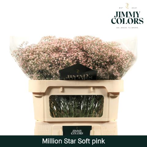 Gyps Million Star L70 Soft Pink