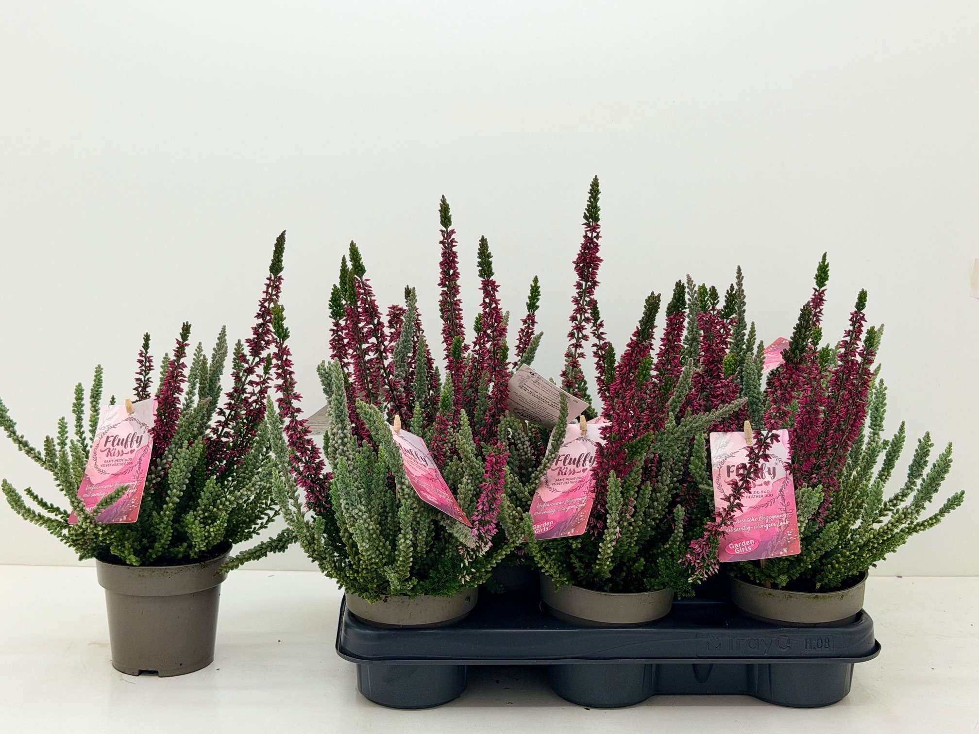 Callu Gg Flu Kis Gem 11Ø 25cm