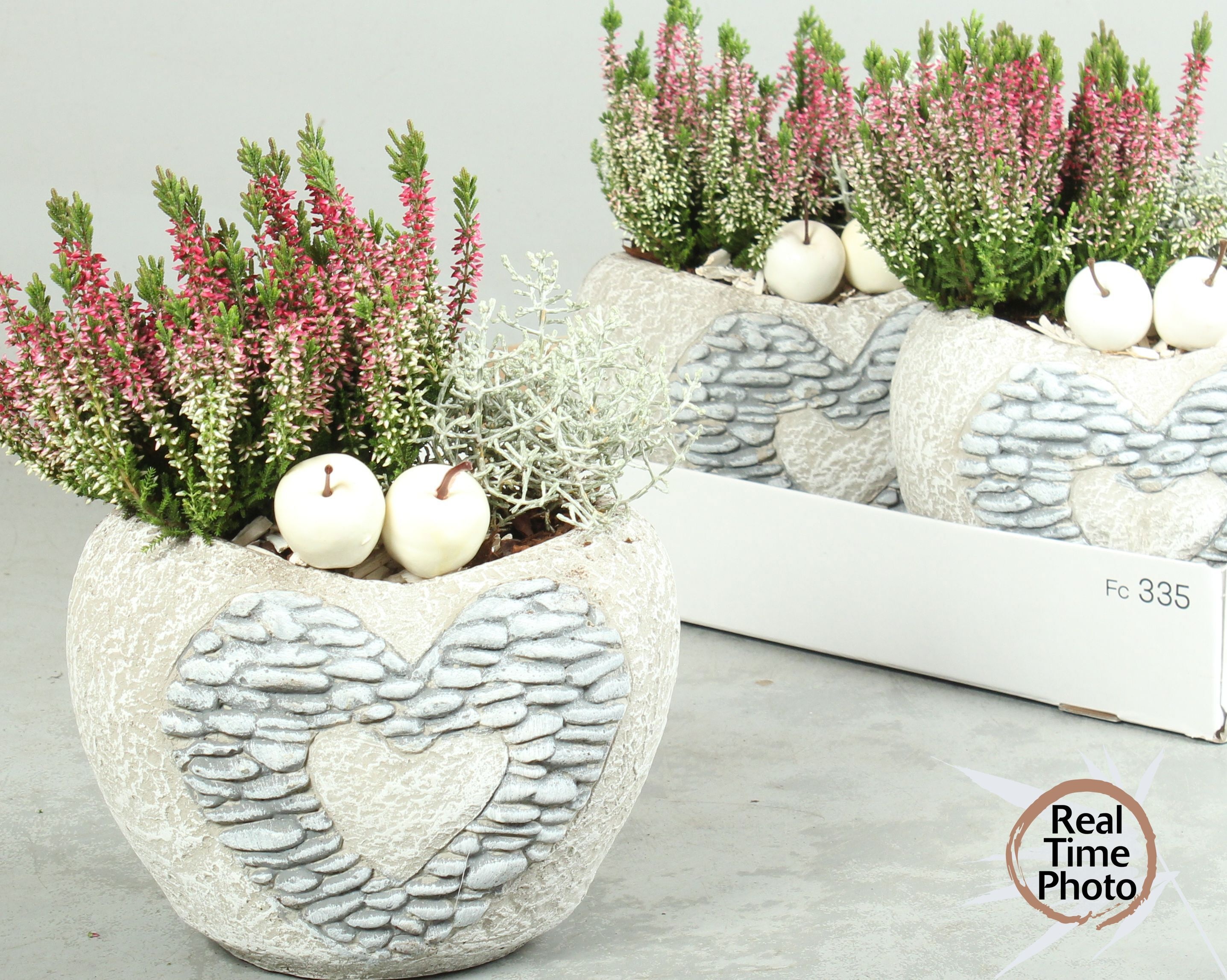 Arr Tuinplanten 21P 30cm