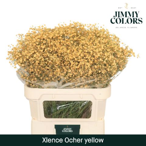 Gyps Xlence L80 Ochre Yellow