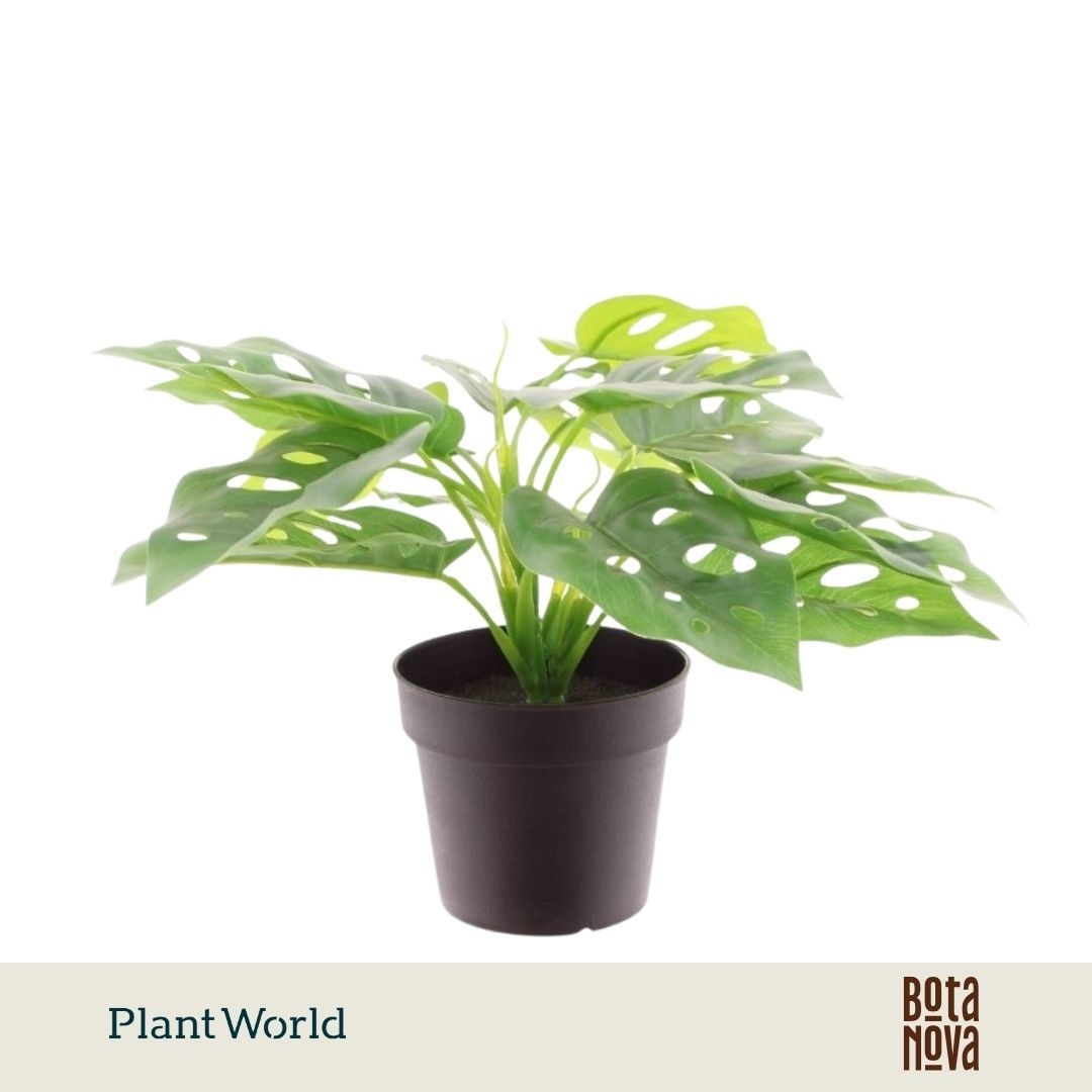 Monstera Artificial Monstera