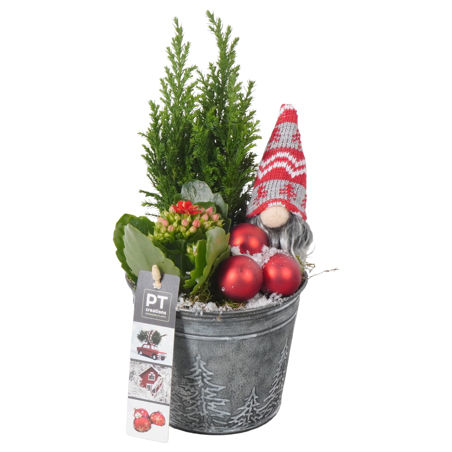 Picture of PTKB9436 Arrangement X-Mas in zinc pot P12 25CM