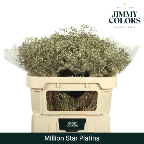 Gyps Million Star L70 Metallic Platina