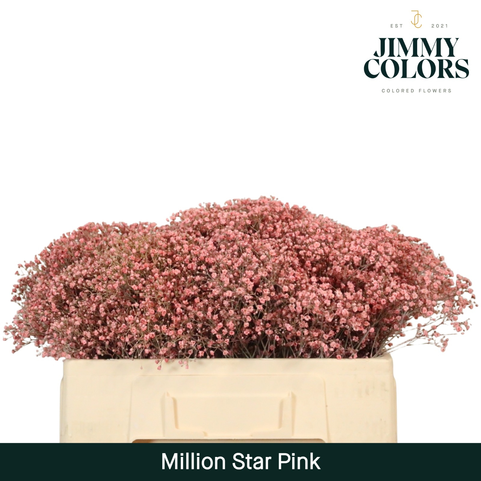 Gyps Million Star L50 Pink
