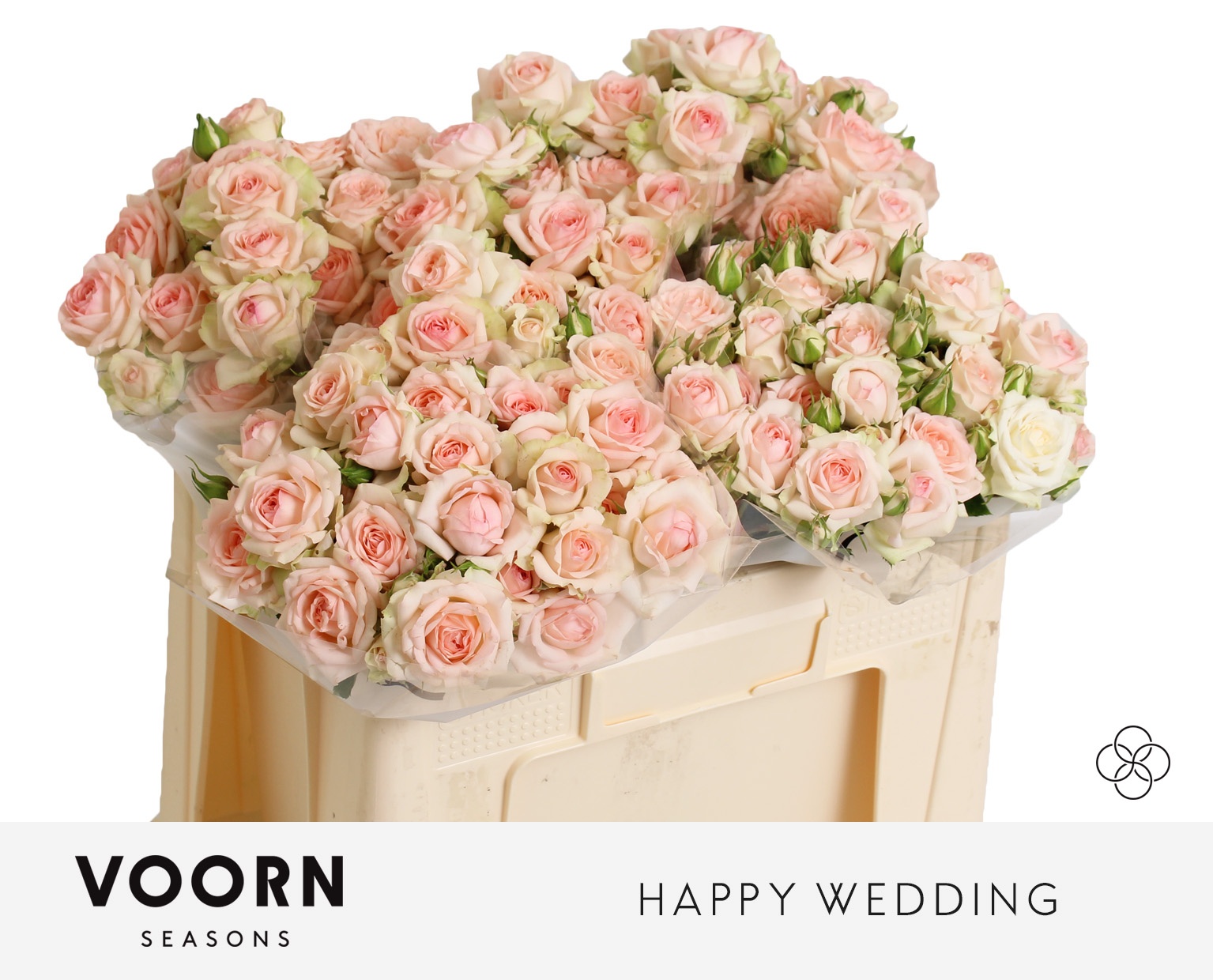 R Tr Happy Wedding 50cm
