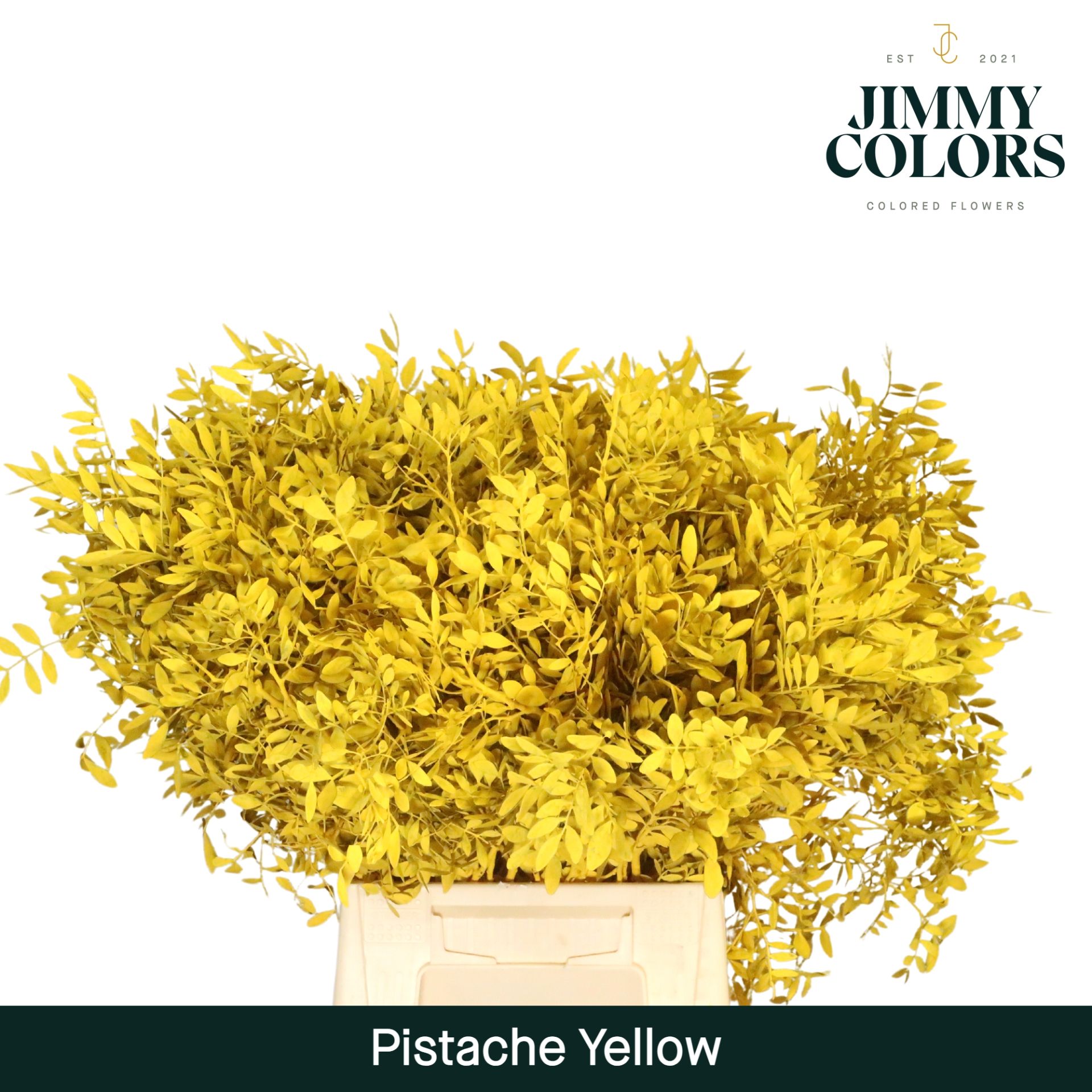 Pistache L50 Yellow