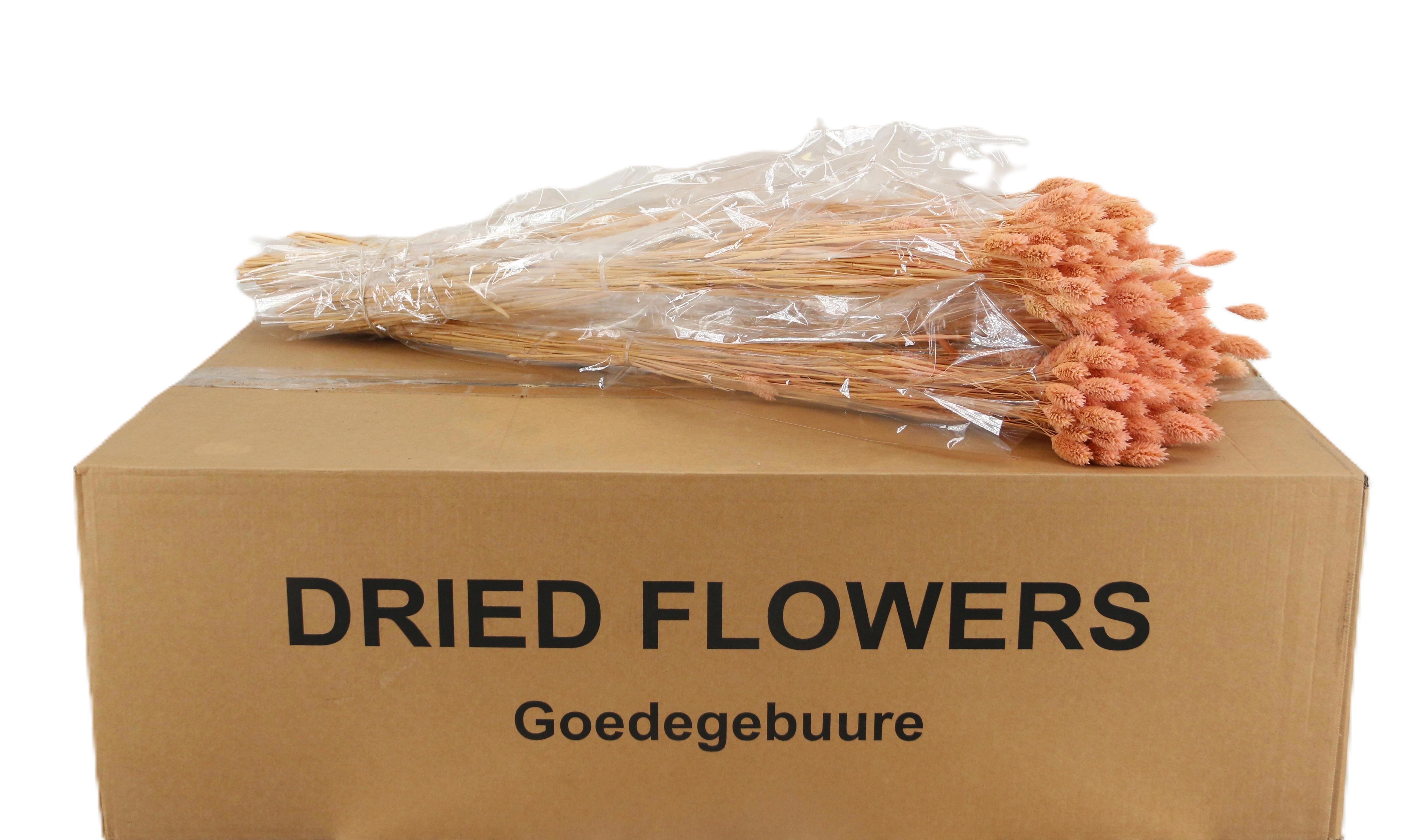 Droogbl Bewerkt H%