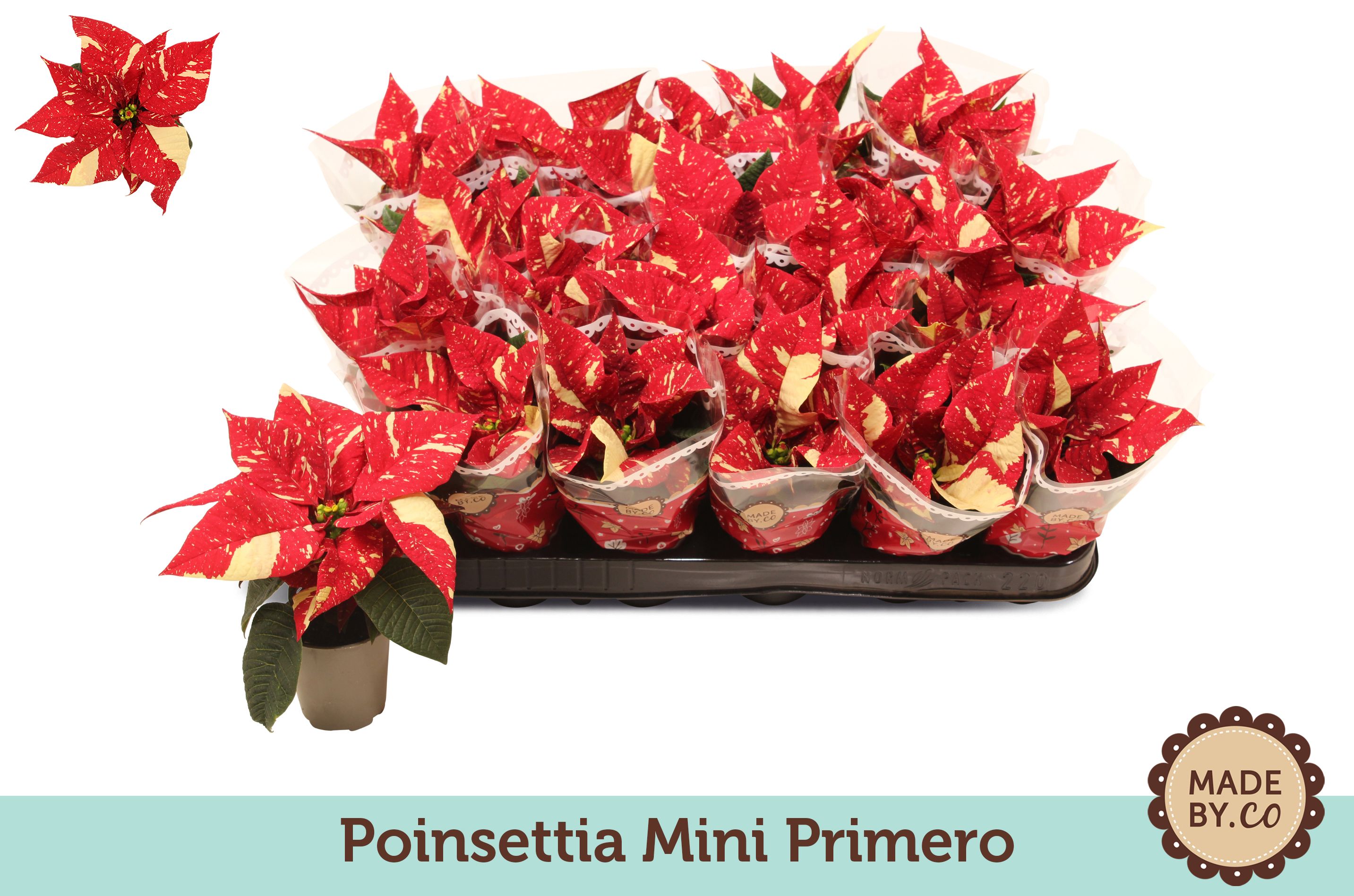 Afbeelding zonder ALT