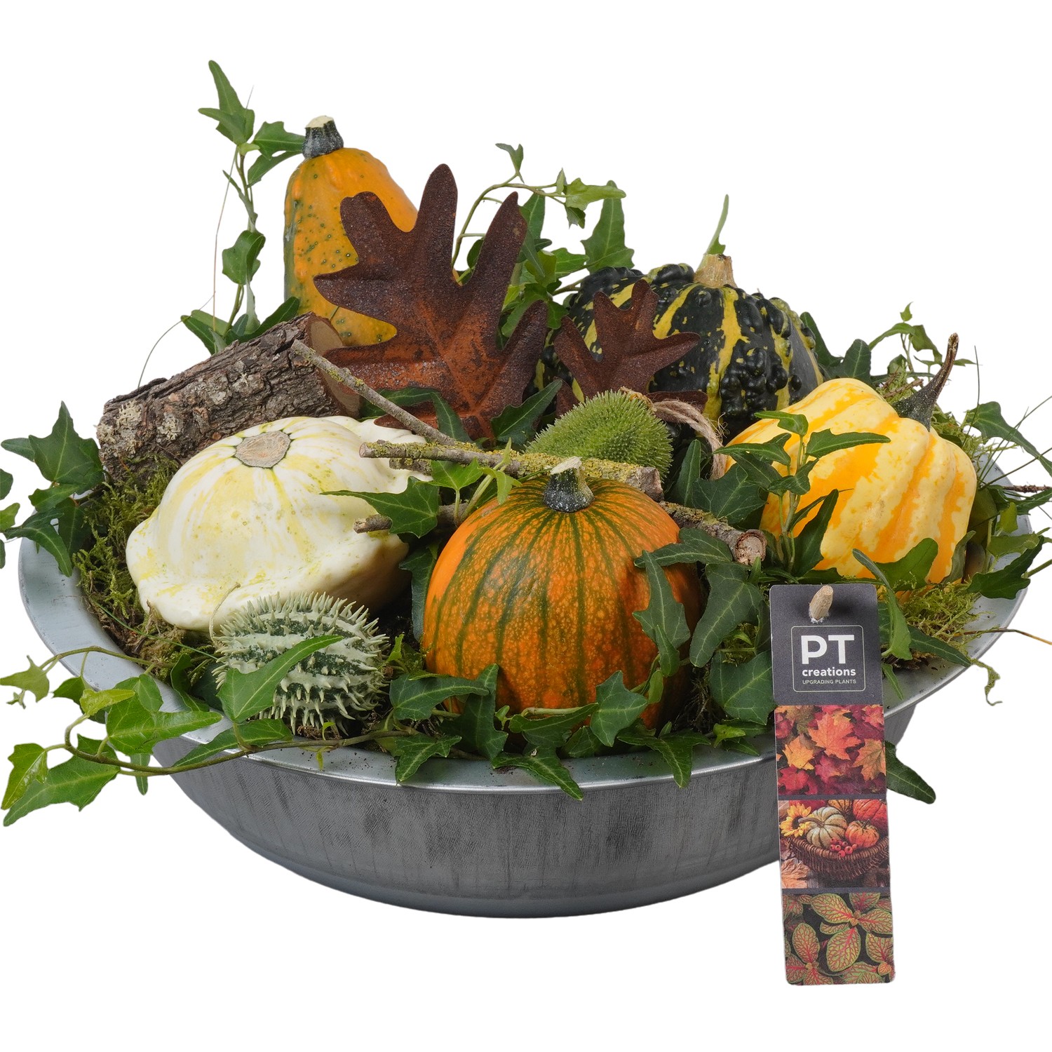 Picture of PTKBH5307 Arrangement Autumn Fruits in metal bowl P33 22CM