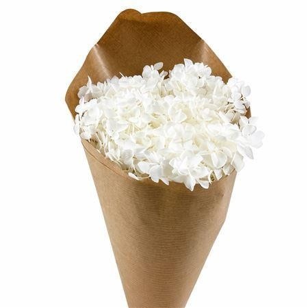 Dried/preserved Flowers Misc 50cm