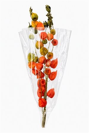 Dried Miscellaneous 60cm 60gram
